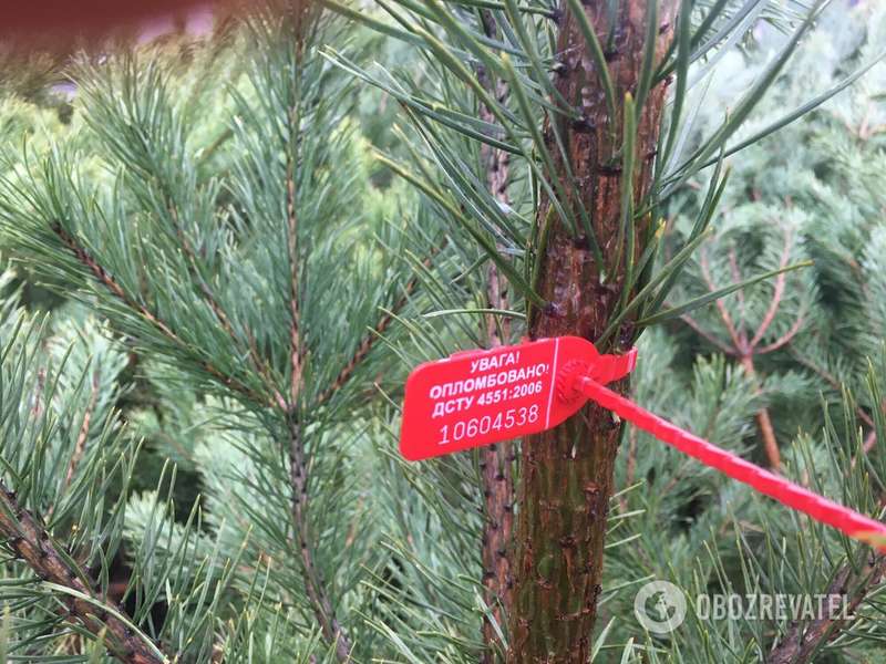 На каждом дереве должен быть чип.