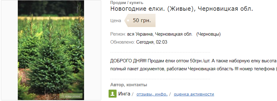 Оптом елки продают по 50 грн за дерево