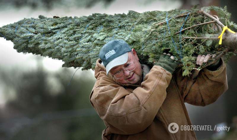 Не стоит покупать елки на стихийных рынках