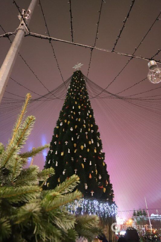 Новогодняя елка в Киеве