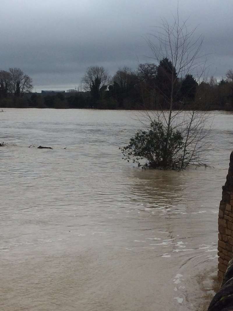   . : Twitter dqxikeidqxidqrant