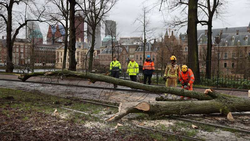 Из-за шторма падали деревья