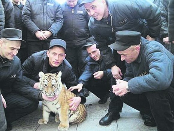 Как сидят в VIP-тюрьмах чиновники и бизнесмены. Страна. Фото 9 Как сидят в VIP-тюрьмах чиновники и бизнесмены. Фото 9