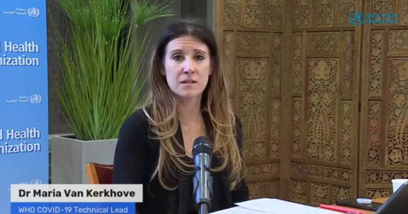 Мария Ван Керкхове. dqxikeidqxidqrant