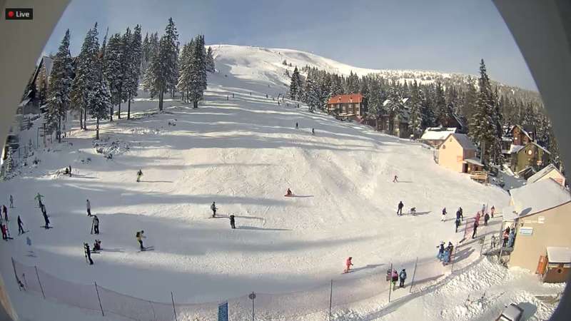 Отдых на Драгобрате dqxikeidqxidqrant