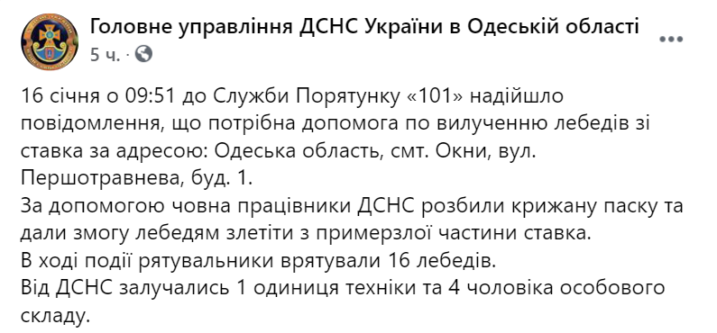 В Одесской области 16 лебедей примерзли ко льду. Спасателям удалось освободить птиц. Скриншот: facebook.com/DSNSODE dqxikeidqxidqrant
