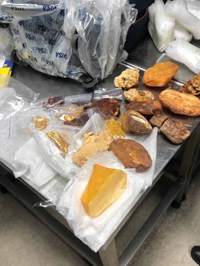В Киеве задержали мужчину, который хотел вывести янтарь в Дубай. Фото: dpsu.gov.ua dqxikeidqxidqrant