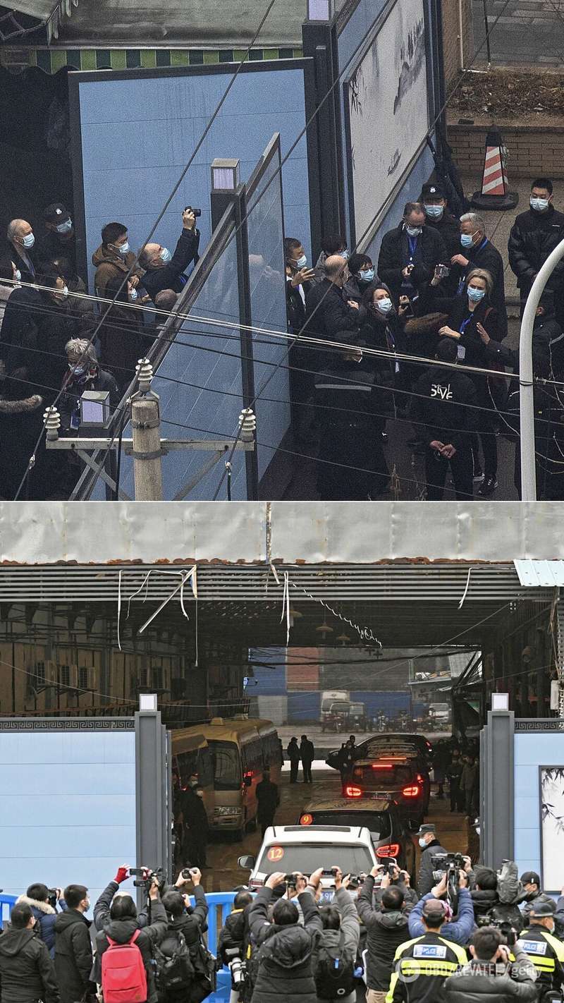 Делегация ВОЗ посетила рынок Хуанань в Ухане, где впервые выявили коронавирус dqxikeidqxidqeant