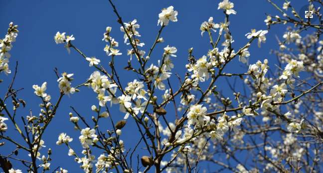 ,  2021  dqxikeidqxidqrant