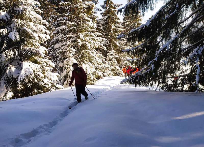 В Карпатах наткнулись на следы заблудившегося туриста. dqxikeidqxidqrant