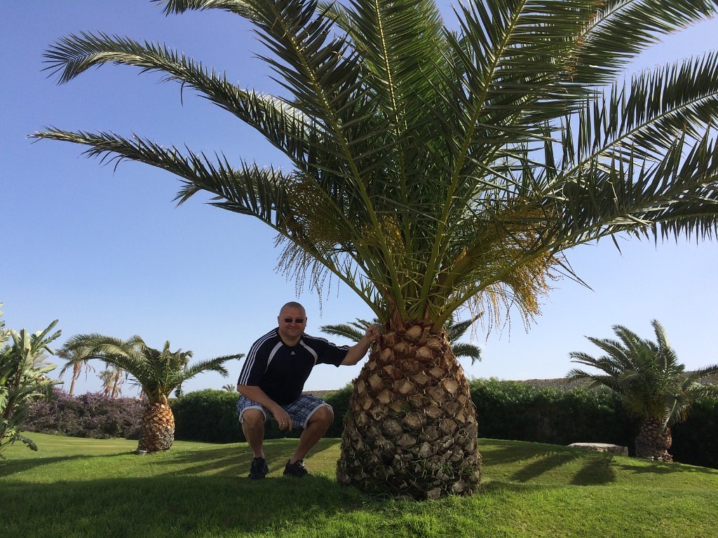 ^F424CF4D07AE6E337BD0252F77ABDD6B86AB695AE380346725^pimgpsh_fullsize_distr