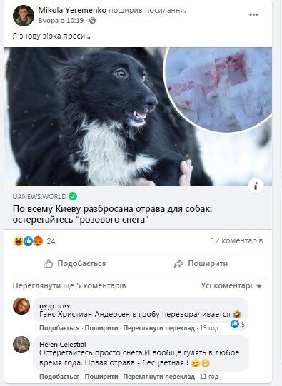 В Киеве переполох из-за отравления собак "розовым снегом": как уберечь домашних любимцев