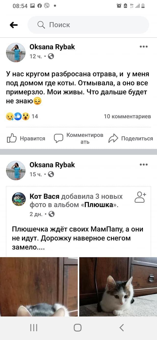 В Киеве переполох из-за отравления собак "розовым снегом": как уберечь домашних любимцев