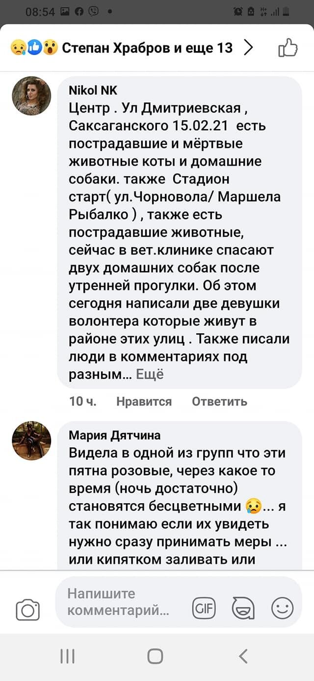 В Киеве переполох из-за отравления собак "розовым снегом": как уберечь домашних любимцев