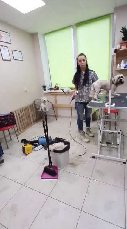 -   dqxikeidqxidqrant