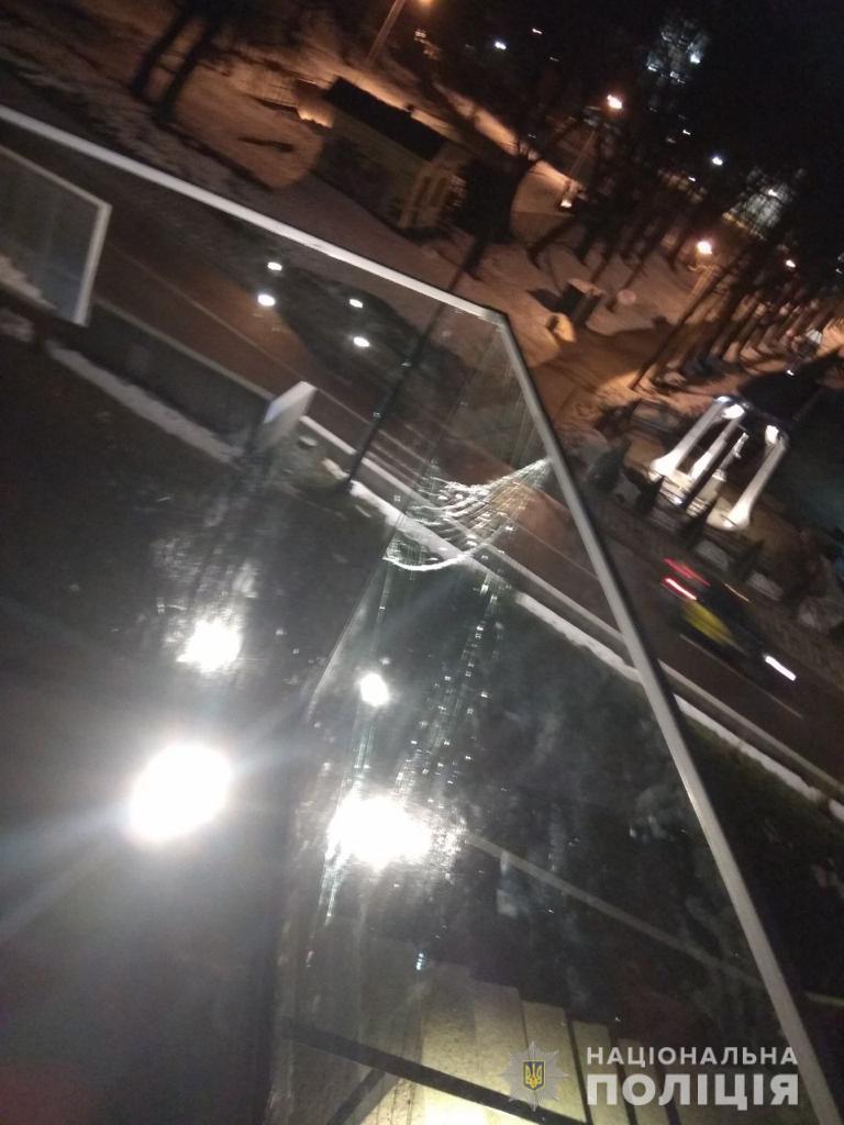 Во Львове пьяный киевлянин повредил мемориал Небесной Сотни - 2 - изображение dqxikeidqxidqeant