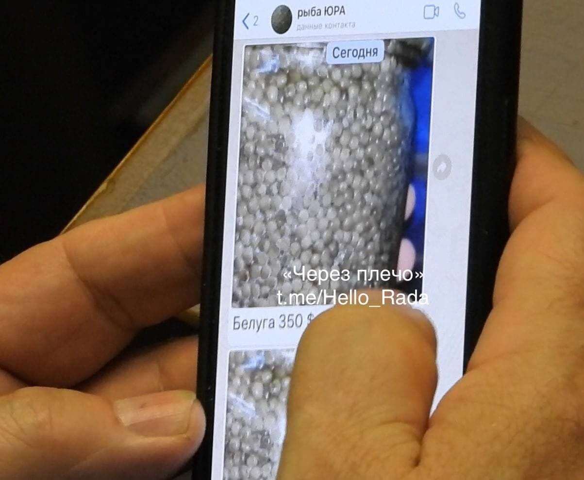 ,      dqxikeidqxidqrant