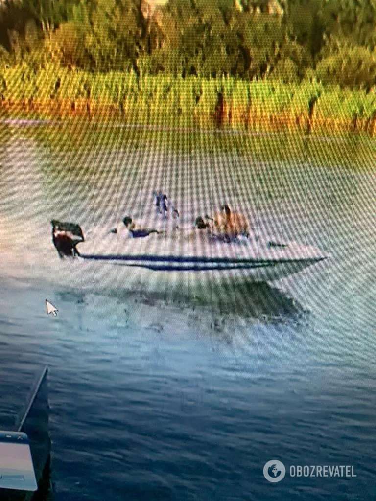 Шипко в 2013 году "решал" вопрос "лицензирования медпрактик" dqxikeidqxidqrant