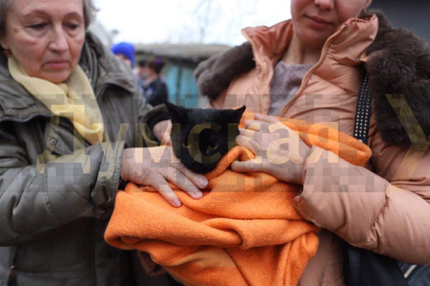 Люди эвакуировались вместе с домашними животными
