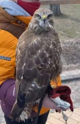 КиевВласть - Новости Киева и области