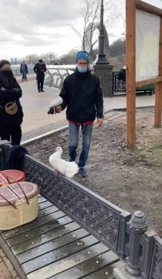 КиевВласть - Новости Киева и области