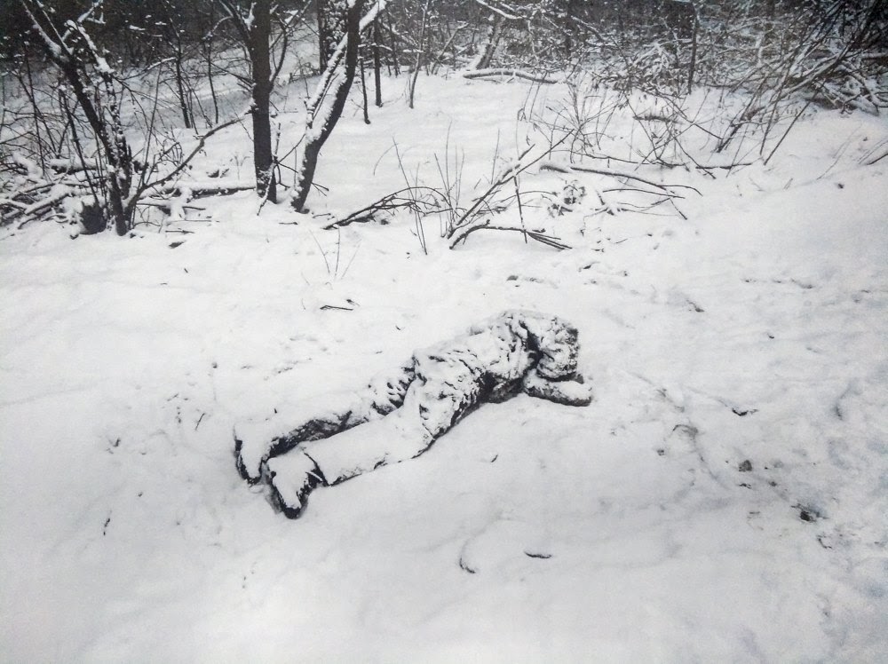      䳿 dqxikeidqxidqrant