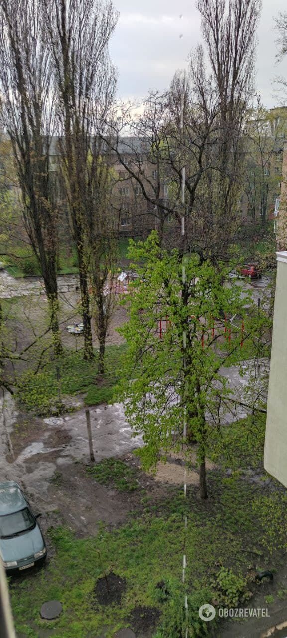 В городе установилась теплая, но дождливая погода. dqxikeidqxidqrant