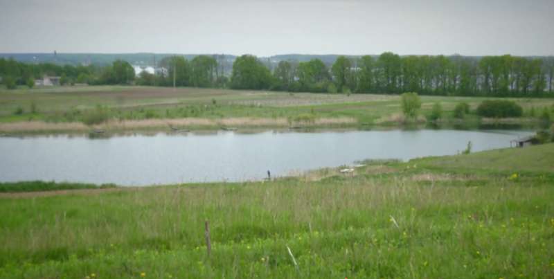 Назар (справа) с мамой, сестрой и братом Костей dqxikeidqxidqrant