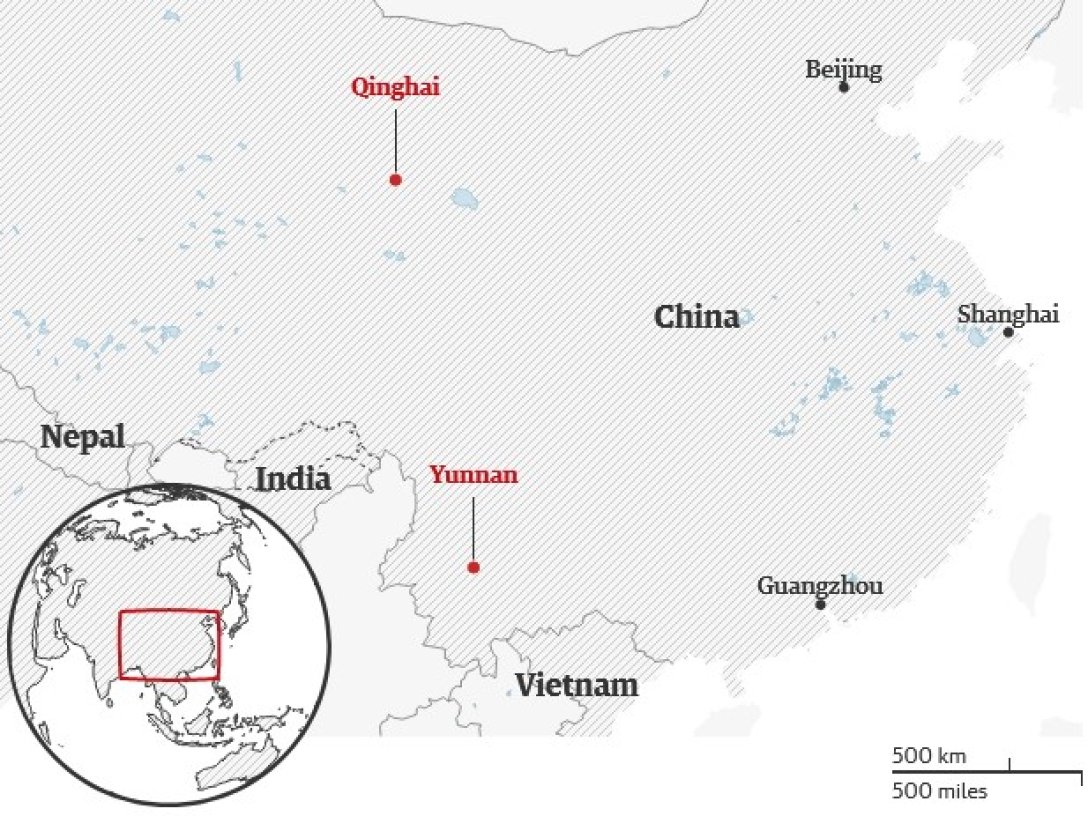 , ,  dqxikeidqxidqeant