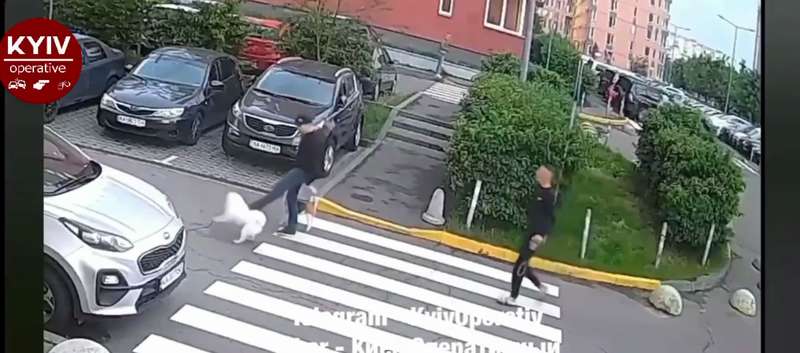 Мужчина начал отпихивать животное ногой dqxikeidqxidqrant