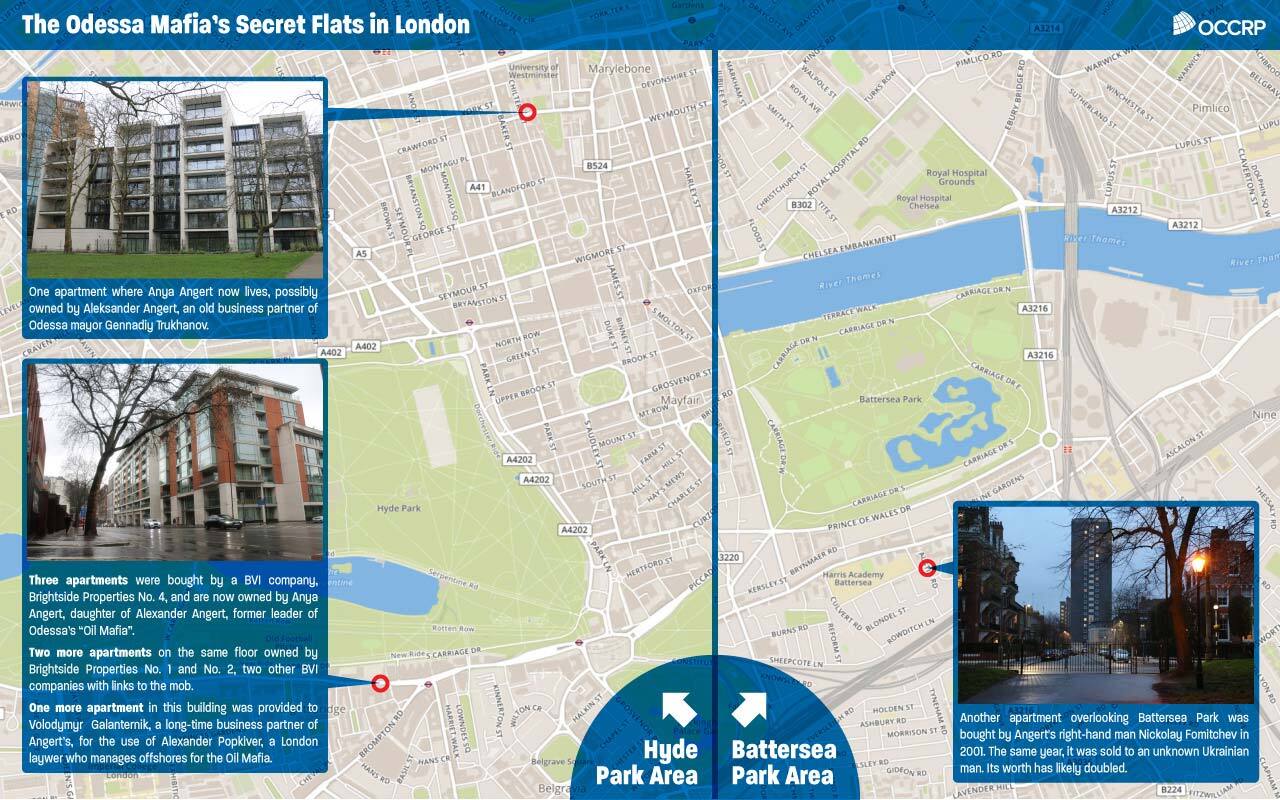 Эдин Пасович, OCCRP dqxikeidqxideant