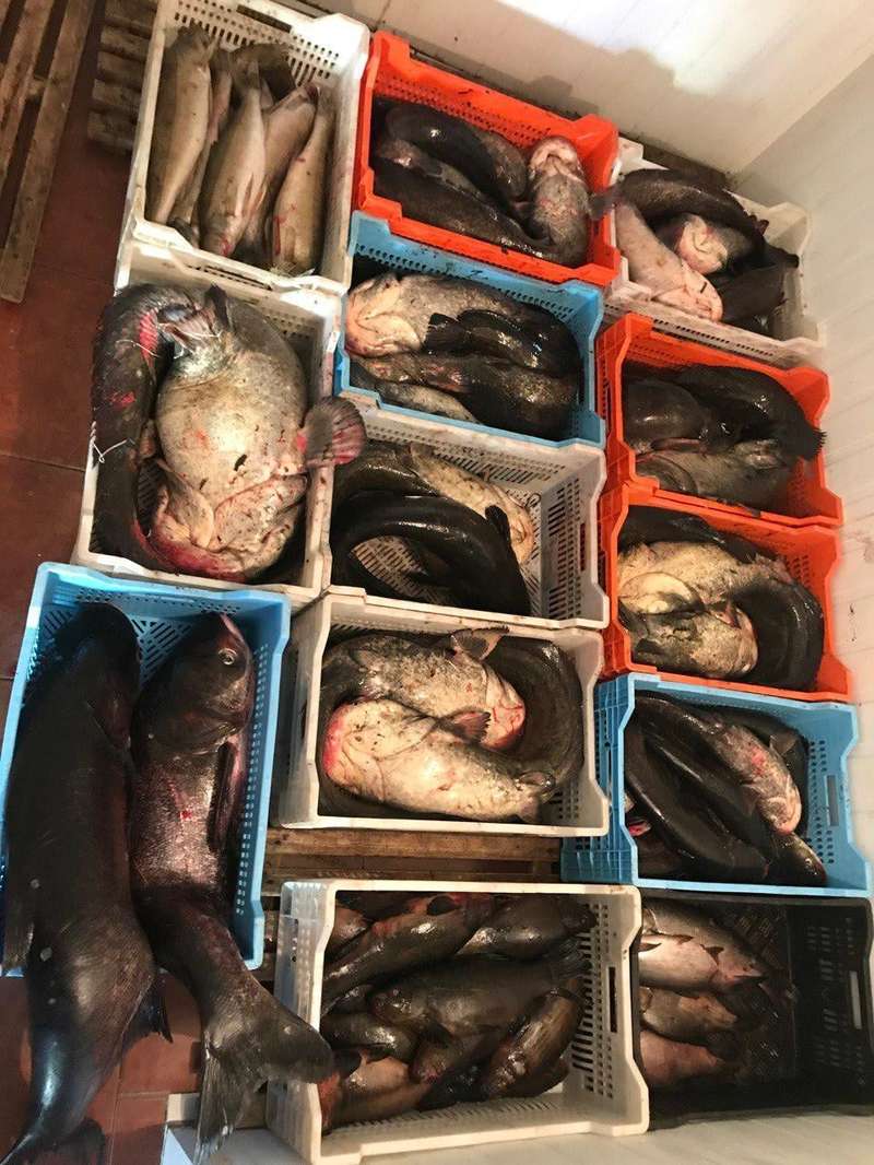    Facebook dqxikeidqxidqrant