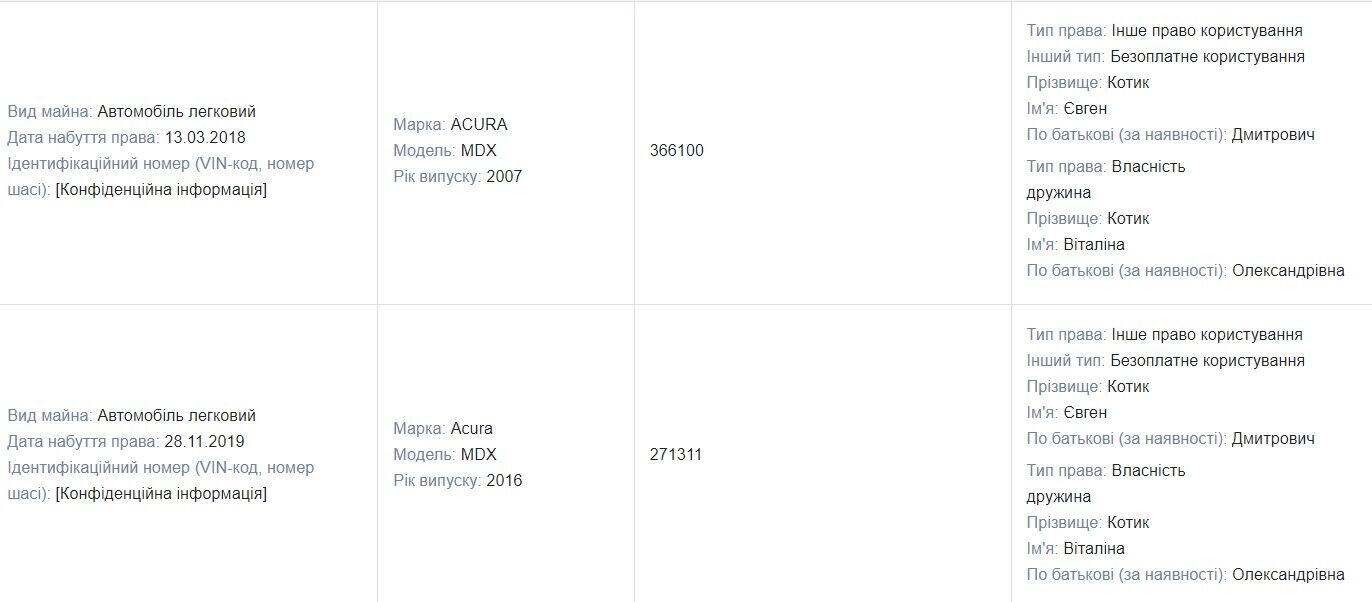 Декларация Котика