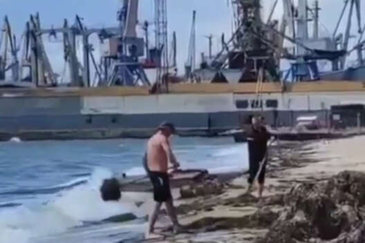 Жители Бердянска нашли гениальный метод очистки пляжа от водорослей-1200x800 dqxikeidqxidqeant