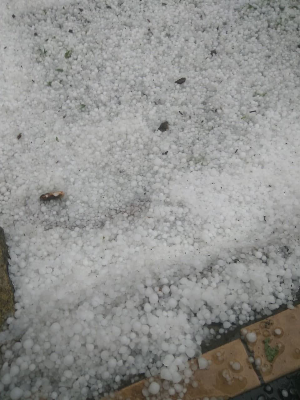 Казалось, что выпал снег