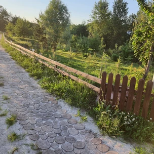 untitled image dqxikeidqxidqrant