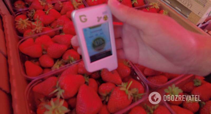 Мы измерили уровень нитратов в сезонных овощах и фруктах. dqxikeidqxidqeant