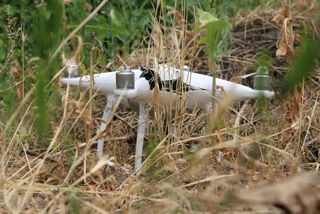            04 dqxikeidqxidqrant