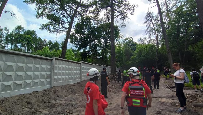 Акция против вырубки деревьев прошла в Голосеевском парке в Киеве 11