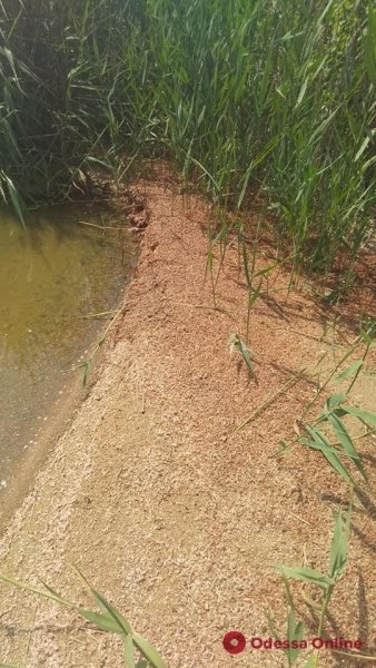 ,  ,   dqxikeidqxidqrant