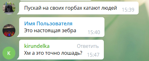 Под постом появилось множество комментариев