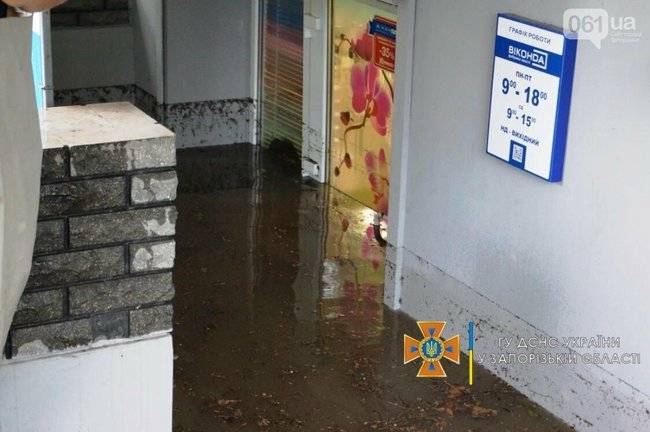 Непогода в Запорожье: буря повалила деревья, ливни затопили улицы 05 Непогода в Запорожье: буря повалила деревья, ливни затопили улицы 05