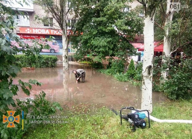 Непогода в Запорожье: буря повалила деревья, ливни затопили улицы 07 Непогода в Запорожье: буря повалила деревья, ливни затопили улицы 07