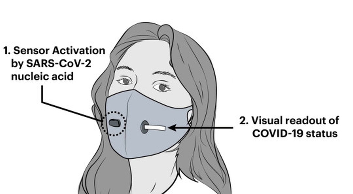  ,     Covid-19 -  1 dqxikeidqxidqrant