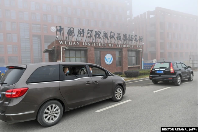 Члены комиссии ВОЗ прибывают в институт вирусологии в Ухане 3 февраля 2021 года dqxikeidqxidqeant