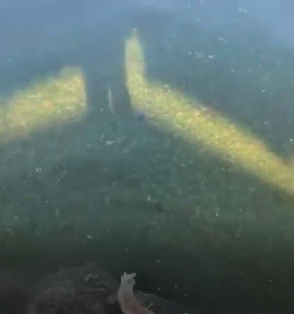 В Одессе грязное море dqxikeidqxidqrant