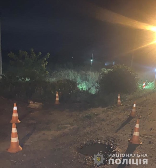 11-летний мальчик разбился за рулем BMW на Львовщине: Пьяный отец сидел рядом 02 dqxikeidqxiqthant