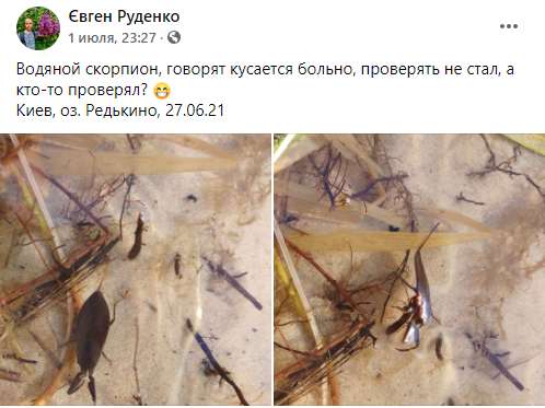 Предупреждение об опасности . dqxikeidqxidqrant