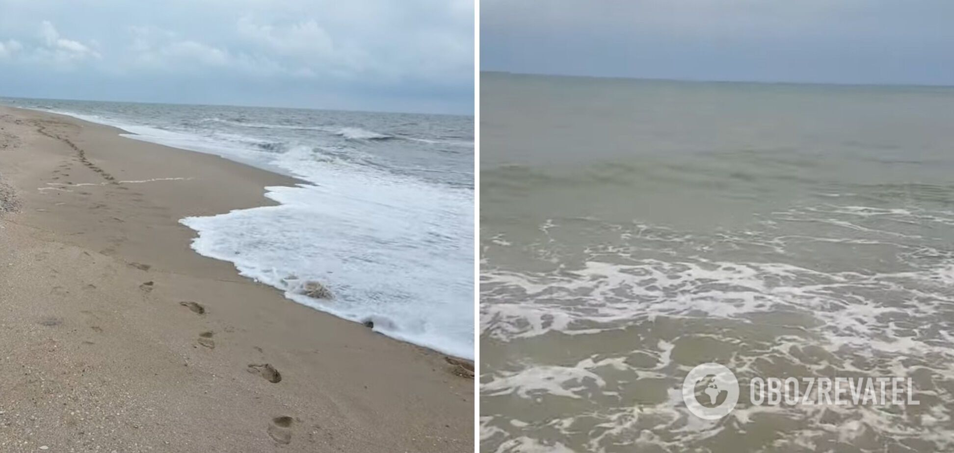 По словам отдыхающих, волны выбрасывают медуз далеко на берег