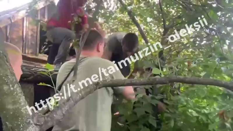 Мужчину сняли с крыши dqxikeidqxidqrant